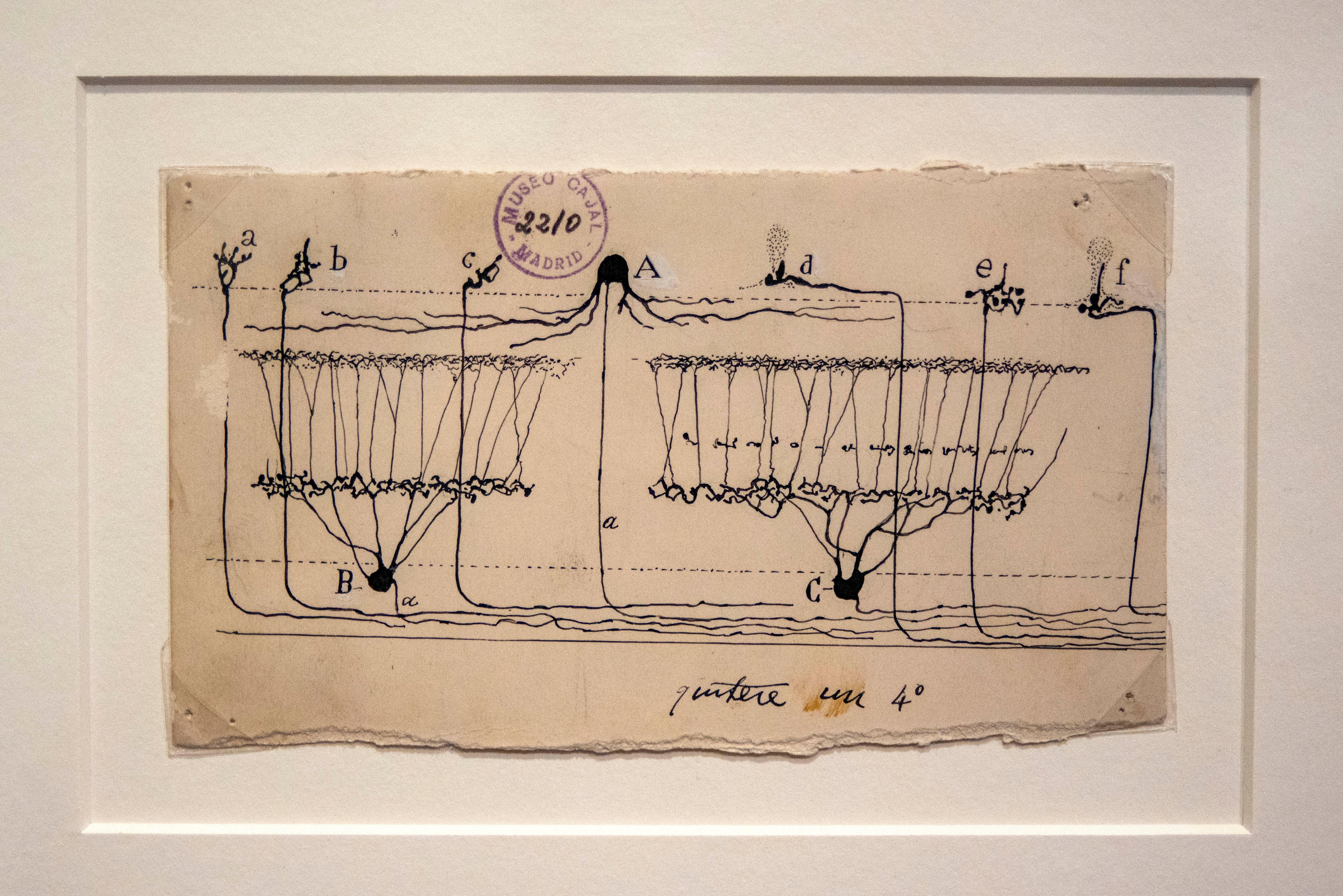 Vago, pero emocionante