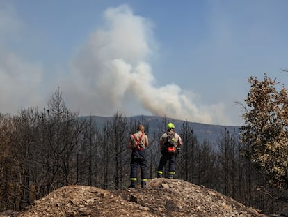 Dos bomberos checos observan el incendio forestal en el parque nacional de Dadia, este martes en la región griega de Evros.