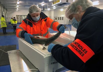 Control sanitario de salmón a su llegada al puerto de Boulogne-sur-Mer (Francia), el 12 de enero. 