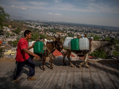 2F974GN Mexiko Stadt, Mexico. 15th Mar, 2021. Felix Villeda Rivera walks next to donkeys carrying jerry cans after the water supply was cut in Santa Cruz Acalpixca en Xochimilco, south of the capital. The lack of drinking water has prompted residents of the village to cover the supply with canisters on donkeys. Credit: Jair Cabrera Torres/dpa/Alamy Live News