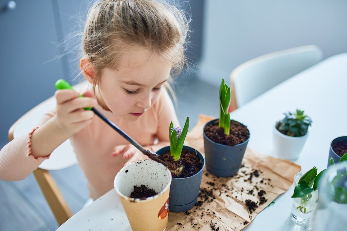 Descubre el poder educativo de las plantas: lecciones valiosas para niños sobre la naturaleza y la vida