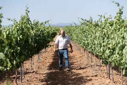 Francisco Díaz, viticultor afectado por la implantación de macrogranjas y plantas de biometano en Ribera del Duero.