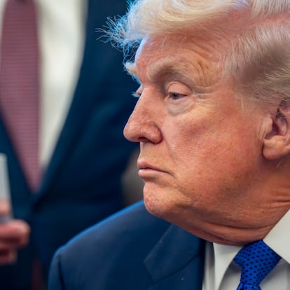 Trump Universidad Harvard demanda