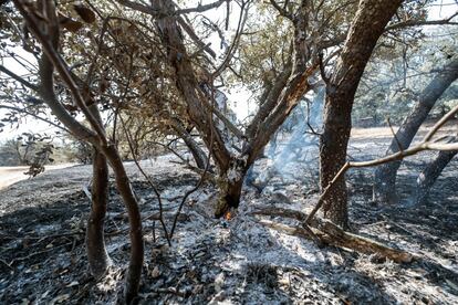 El incendio de Almorox comenzó a las seis de la tarde y a consecuencia del fuerte viento que rolaba en la zona (de unos 40 kilómetros por hora) pasó en menos de dos horas a la Comunidad de Madrid tras recorrer unos 14 kilómetros. En la imagen, vista de la zona afectado por el incendio de Toledo, este sábado.