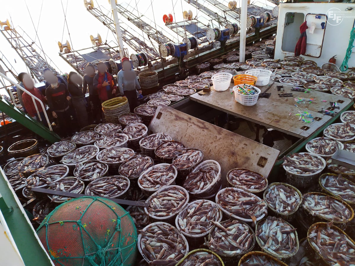 Trabajo forzoso y violencia física: la “esclavitud moderna” de los barcos de pesca de calamar en el Atlántico suroeste