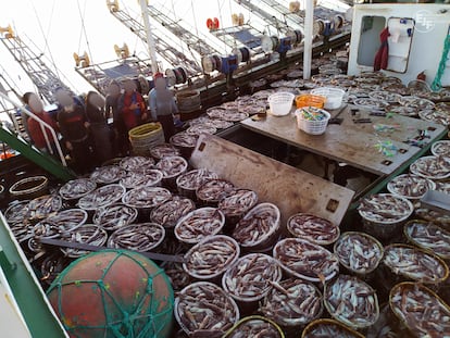 Barcos de pesca de calamar