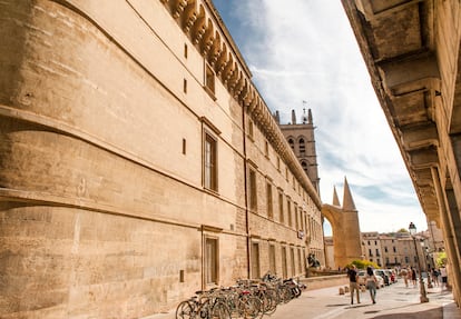 Facultad de Medicina de la Universidad de Montpellier, la más antigua del mundo y donde se siguen impartiendo clases. 