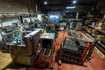 Raúl Castillo, uno de los encargados de realizar el degüelle de forma manual, para controlar el olor a corcho, de las botellas de espumoso en Mestres.