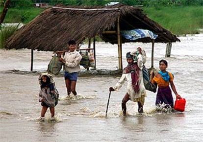 12.000 hectáreas de cultivos han quedado afectadas por las inundaciones.