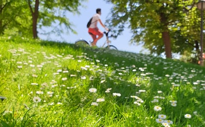 Un ciclista y chirivitas en una pradera del parque del Retiro en Madrid.