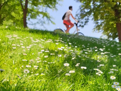 Un ciclista y chirivitas en una pradera del parque del Retiro en Madrid.