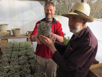 El biólogo Daniel Renison junto a su padre Ronaldo, de 89 años, en el vivero familiar donde producen plantines de tabaquillo.