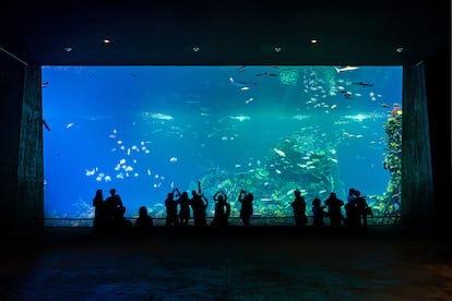 acuario de Mazatlán