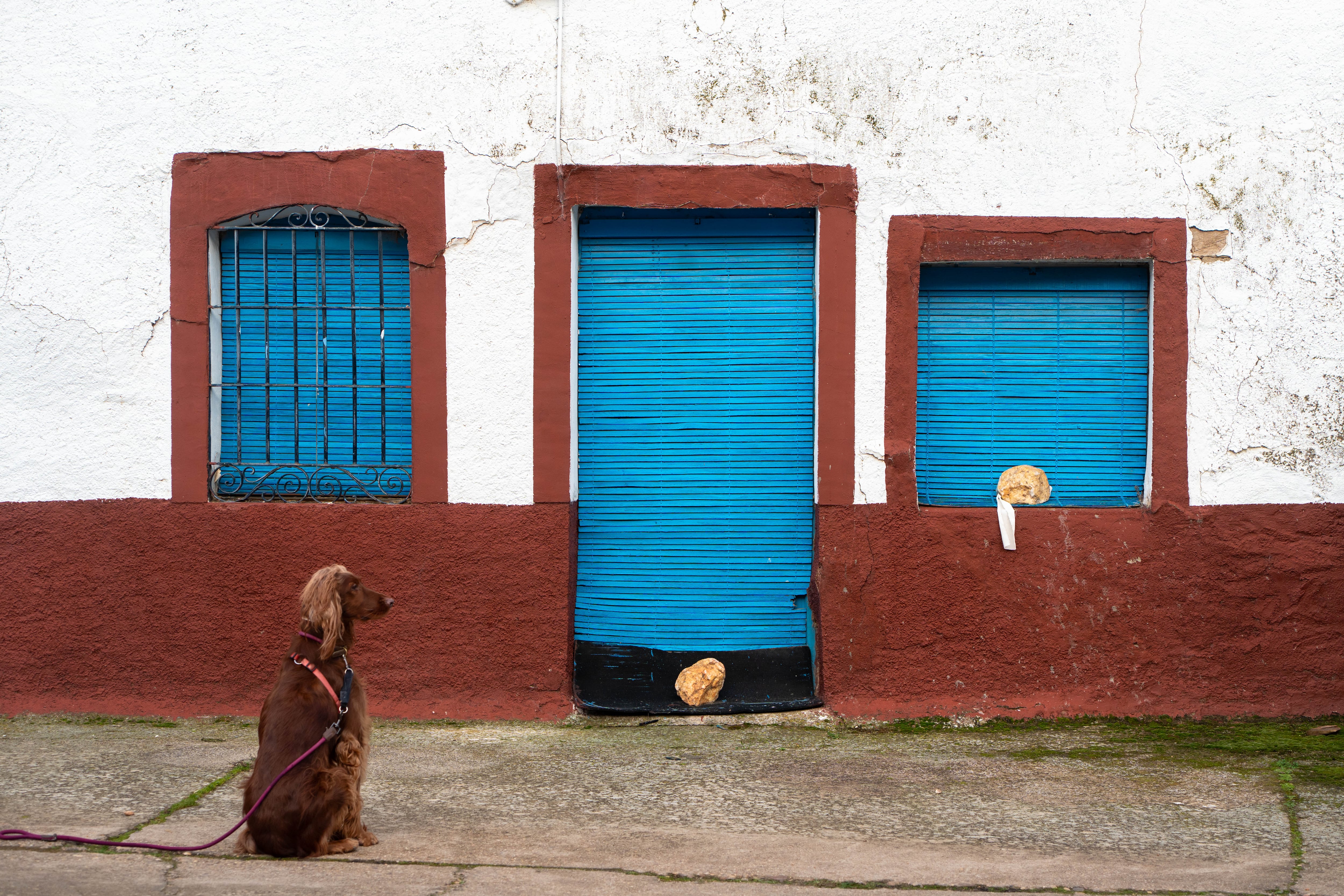 Una casa cerrada a cal y canto en Andavías (Zamora).