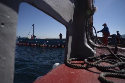 Formación de la estructura de barcos que participarón en la pesca.