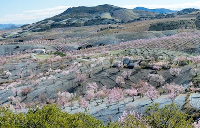 Sierra de Maria Almeria