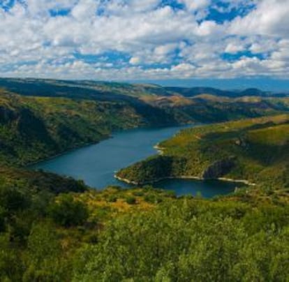 Alrededores de Fermoselle.