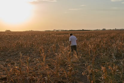 En los últimos años, algunas zonas de América Latina han sufrido de periodos con fuerte escasez de agua que han condenado a cultivos e impuesto sed y apagones. Luego de tres años de sequía en San José de la Esquina, Argentina, los granjeros de la zona temen que la cosecha de este 2023 se vea significativamente reducida.
