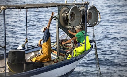 Un pesquero faenando en aguas de Dénia (Alicante).