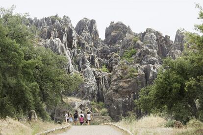 En Cerro del Hierro, ubicado en plena Sierra Norte de Sevilla, no solo es importante el relieve kárstico también su flora, formada principalmente por especies autóctonas como la jara, el jaguarzo prieto, la lacayuela y la aulaga.