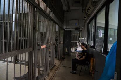 Una cuidadora observa el recinto exterior de la osa Chengda, en la Base de Investigación de Panda Gigante, en Chengdu. El panda gigante es considerado un tesoro nacional en China, por su valor estético y su condición en peligro de extinción.