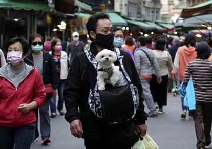 Un hombre lleva a un perro en una mochila para mascotas, en un mercado de Taipei (Taiwán).