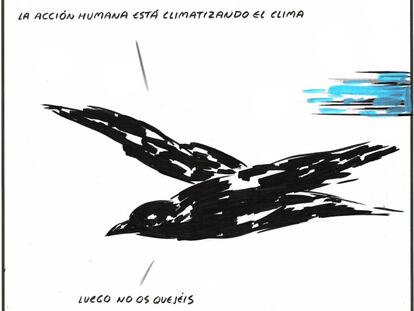 El Roto
