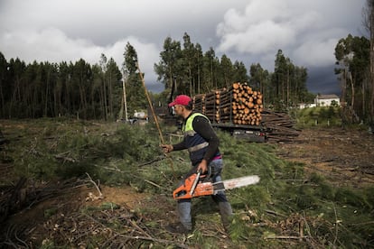 Un le?ador tala los troncos que quedaron en pie un a?o despus de los incendios de Pedrg?o Grande, en los que murieron casi 70 personas.