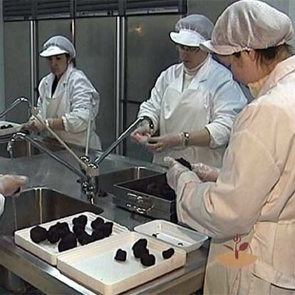 María Jesús, Lola y Merche en pleno proceso de envasado de trufas.