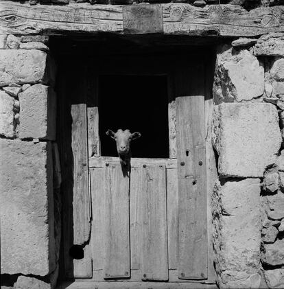 El humor también aparece en ocasiones en las fotografías que tomó Flores, como en esta de Santo Domingo de Silos (Burgos), en 1974.