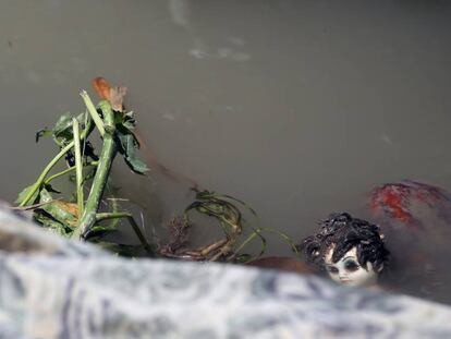 Una mu&ntilde;eca flota en un riachuelo tras el paso del hurac&aacute;n Matthew por Hait&iacute;. 