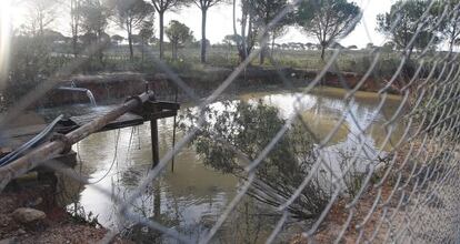 Captaci&oacute;n ilegal entre Moguer y Lucena, en Huelva.