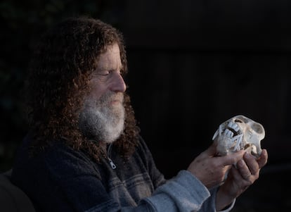 Robert Sapolsky