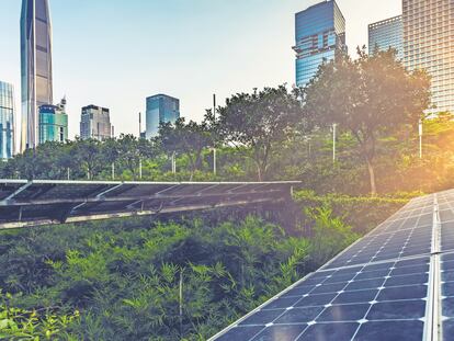 Paneles solares en un entorno urbano.