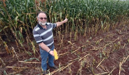 Ake van der Vinne, productor brasileño de maíz y soja que vende a China.