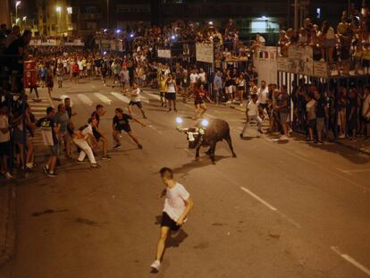 Un bou embolat a les festes d'Amposta.