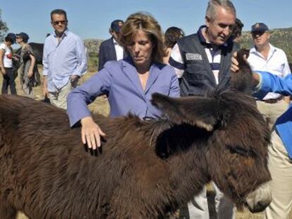 Pla&ntilde;iol y Mari&ntilde;o, durante la visita a la explotaci&oacute;n de Galapagar.