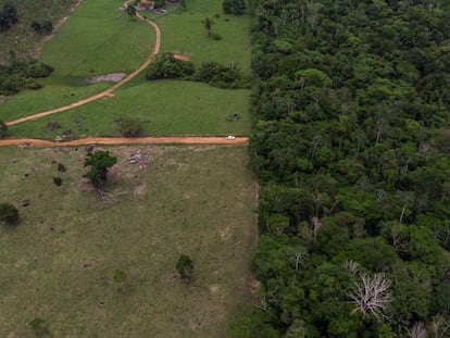 Território indígena dos Surui, no Estado de Rondônia, na Amazônia.