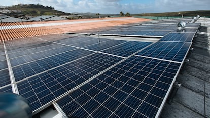 Paneles solares en Andalucía, en una imagen de archivo.