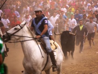 El primer Toro de la Peña acaba con algunos incidentes entre defensores y detractores