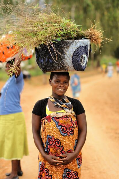 La pobreza en Malaui está muy feminizada. Mientras azota al 49% de los hogares donde hay un cabeza de familia masculino, el 57% de hogares donde la mujer es la cabeza de familia son pobres. En las zonas rurales, la brecha aún es más grande, con un 63% de hogares de mujeres pobres, frente a un 55% de hogares pobres con un hombre al frente.