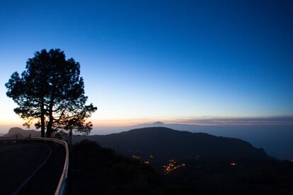 Parque Natural de Tamadaba, Gran Canaria.