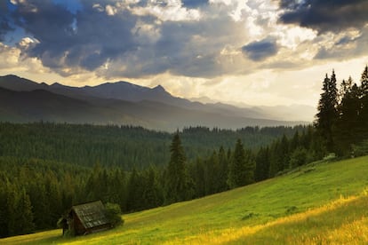 Les llaman los Alpes de Polonia y son una cordillera situada en la frontera con Eslovaquia. Declarados reserva de la biosfera, los montes Tatras (al fondo de la imagen) se levantan a 100 kilómetros de Cracovia y el mejor acceso a sus diversas rutas de dificultad variable es la ciudad de Zakopane. Esta ciudad se vuelve en invierno destino de los amantes del esquí y el snow y no es raro ver trineos tirados por caballos. Es parada recomendada el mirador de Gubałowka, al que se puede acceder en funicular, en coche o andando.