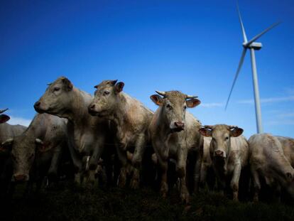 Un aerogenerador del parque Landes de Couesm&eacute;, en Francia. 