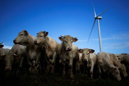 Un aerogenerador del parque Landes de Couesmé, en Francia.