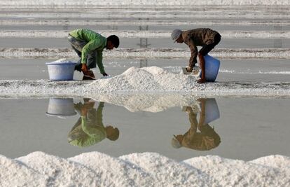 Labourers collect salt in a salt pan in Mumbai, India April 10, 2017. REUTERS/Shailesh Andrade