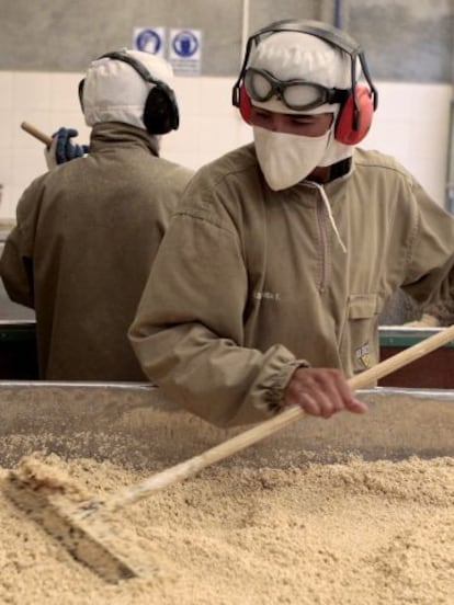 Secado de quinoa en una f&aacute;brica en El Alto (Bolivia). 