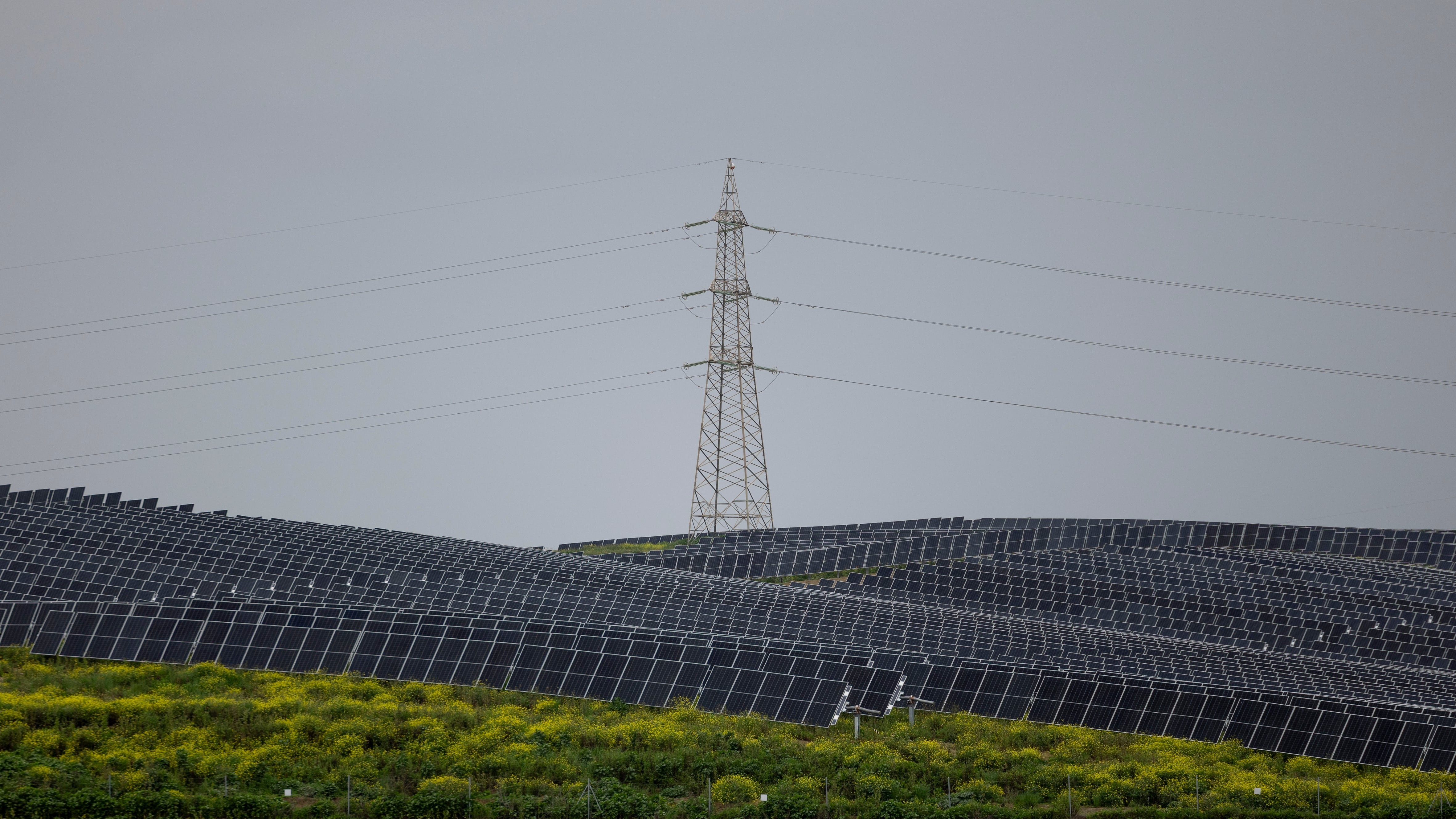 Planta fotovoltaica en la localidad sevillana de Guillena.