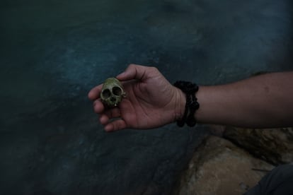 En las aguas de alrededor de 47 ° C solo llegan a vivir peces de unos pocos centímetros de largo.