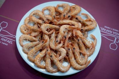 Plato de gambas cocidas, en Casa Rafael (Cádiz).